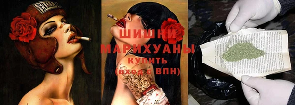 ГАЛЛЮЦИНОГЕННЫЕ ГРИБЫ Новозыбков
