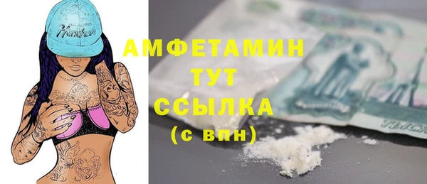 ГАЛЛЮЦИНОГЕННЫЕ ГРИБЫ Новозыбков