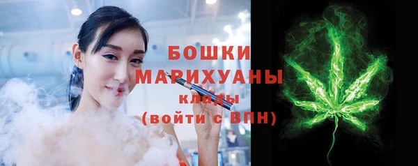 ГАЛЛЮЦИНОГЕННЫЕ ГРИБЫ Новозыбков