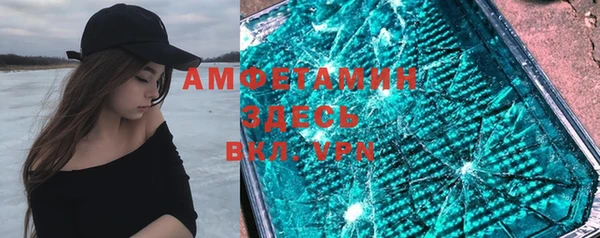 ГАЛЛЮЦИНОГЕННЫЕ ГРИБЫ Новозыбков