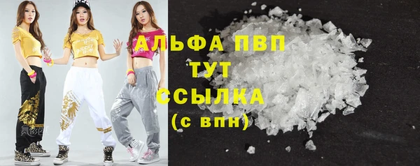 ГАЛЛЮЦИНОГЕННЫЕ ГРИБЫ Новозыбков