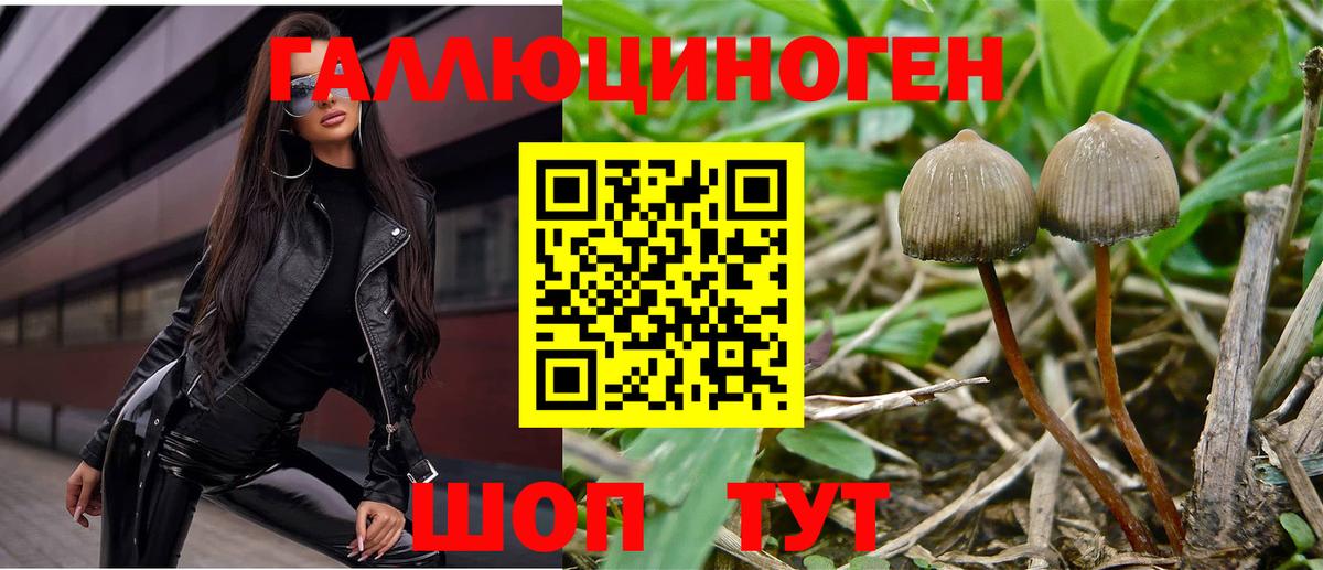 Галлюциногенные грибы Magic Shrooms  Вход с VPN  Псилоцибиновые грибы Magic Shrooms  Вологда 