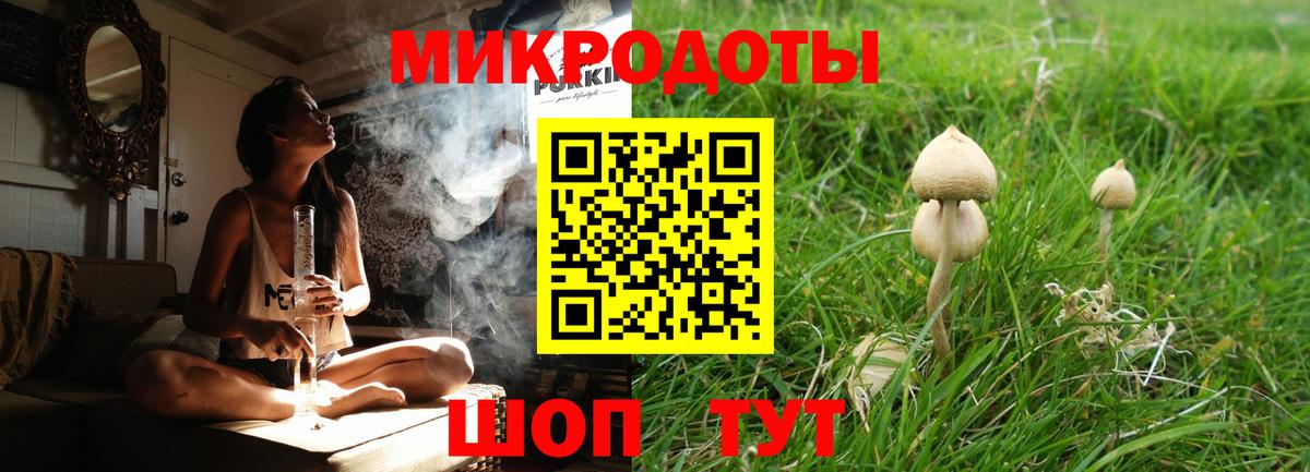 как найти   Вологда  Псилоцибиновые грибы Psilocybe  Галлюциногенные грибы Magic Shrooms 