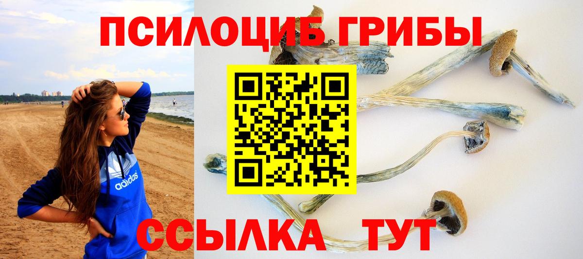 Галлюциногенные грибы Cubensis Вологда